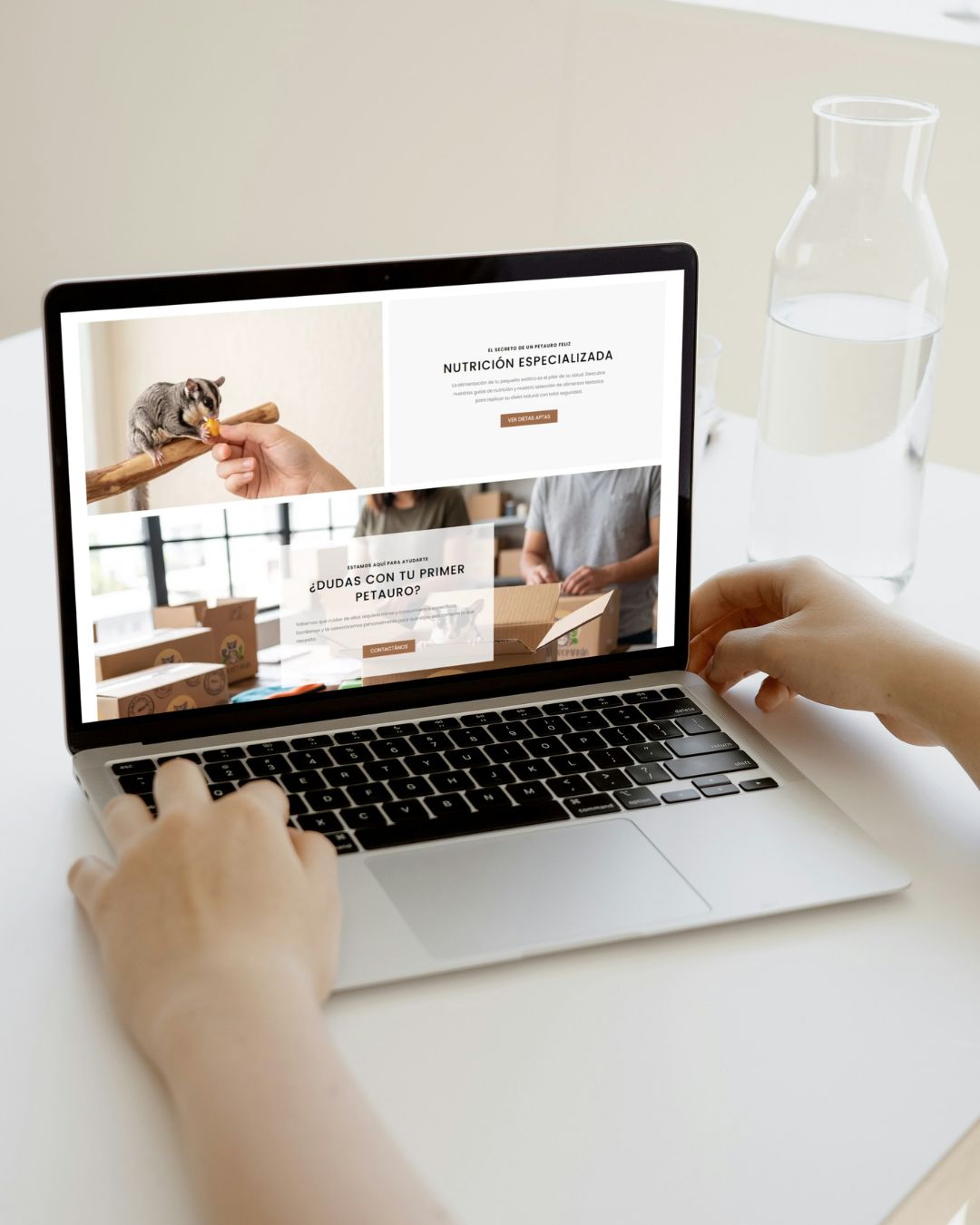Proyecto ecommerce desarrollado por Diseño Tienda Online